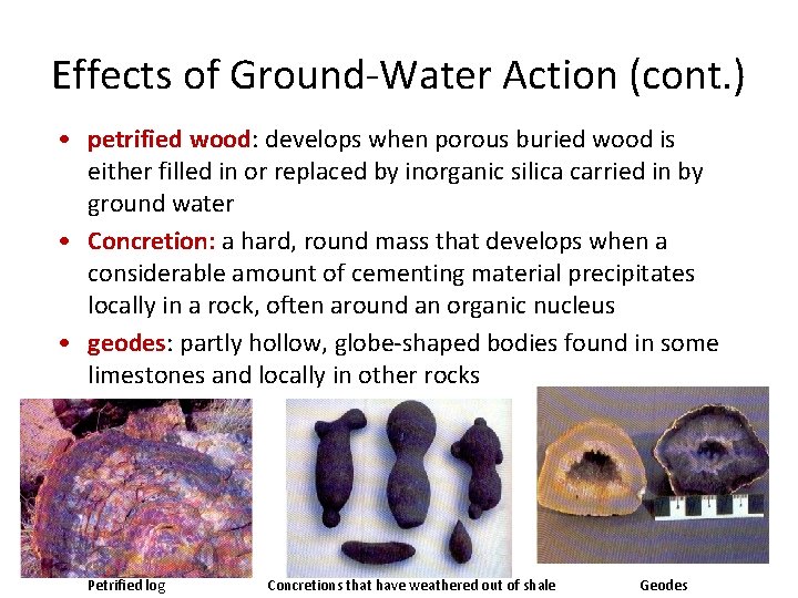 Effects of Ground-Water Action (cont. ) • petrified wood: develops when porous buried wood
