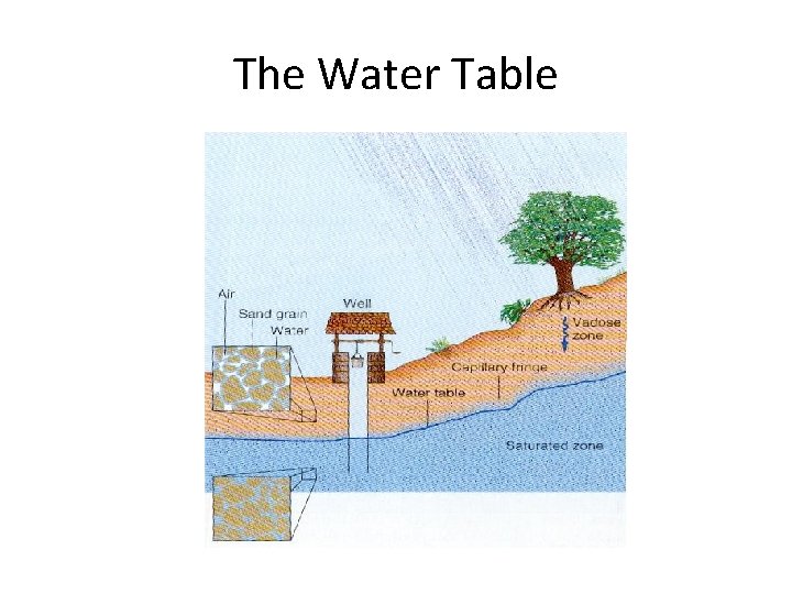The Water Table 