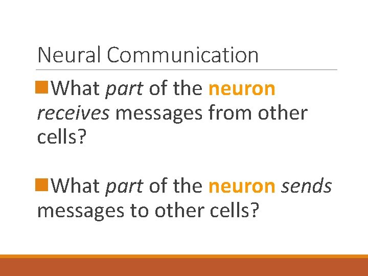 Neural Communication n. What part of the neuron receives messages from other cells? n.