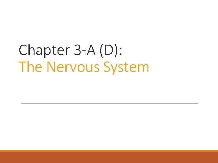 Chapter 3 -A (D): The Nervous System 