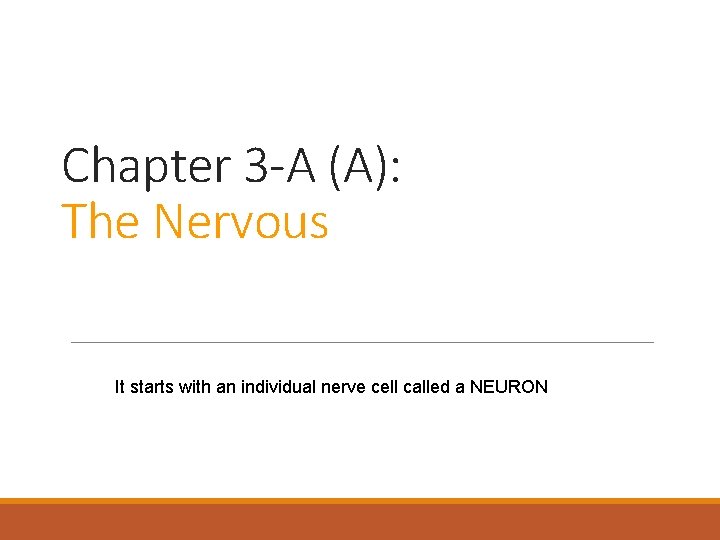 Chapter 3 -A (A): The Nervous It starts with an individual nerve cell called