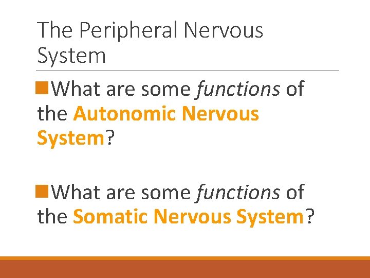 The Peripheral Nervous System n. What are some functions of the Autonomic Nervous System?