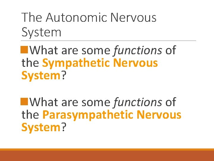 The Autonomic Nervous System n. What are some functions of the Sympathetic Nervous System?