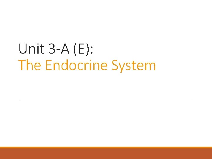 Unit 3 -A (E): The Endocrine System 