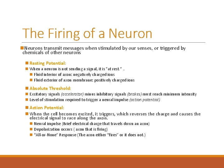 The Firing of a Neuron n. Neurons transmit messages when stimulated by our senses,