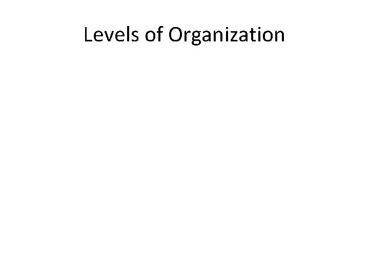 Levels of Organization 