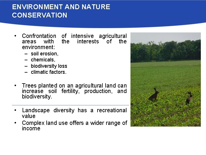 ENVIRONMENT AND NATURE CONSERVATION • Confrontation of intensive agricultural areas with the interests of