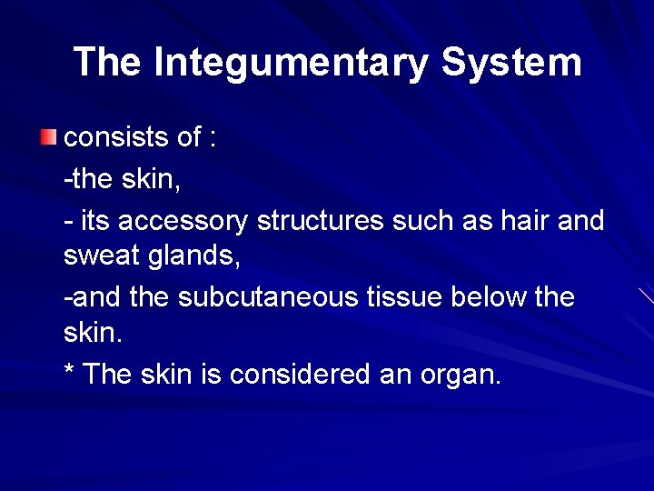 The Integumentary System consists of : -the skin, - its accessory structures such as
