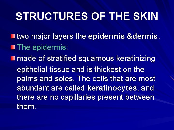 STRUCTURES OF THE SKIN two major layers the epidermis &dermis. The epidermis: made of
