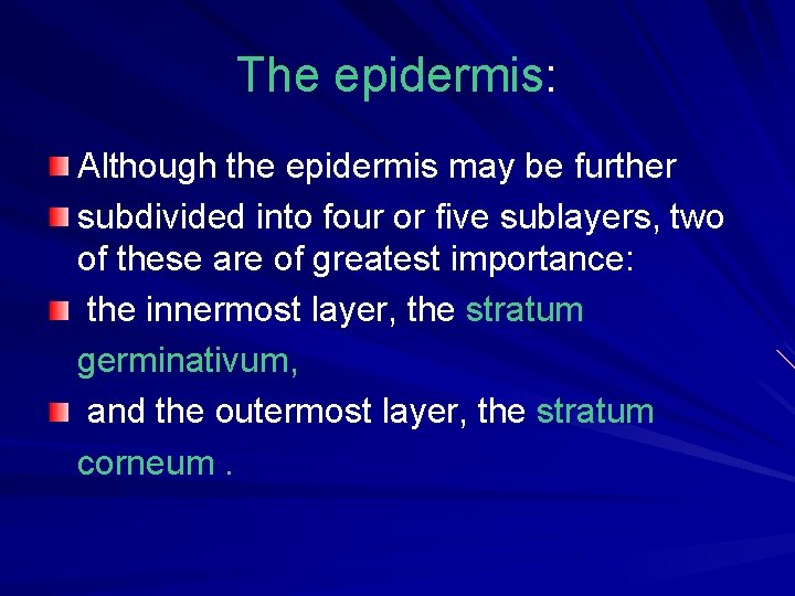 The epidermis: Although the epidermis may be further subdivided into four or five sublayers,