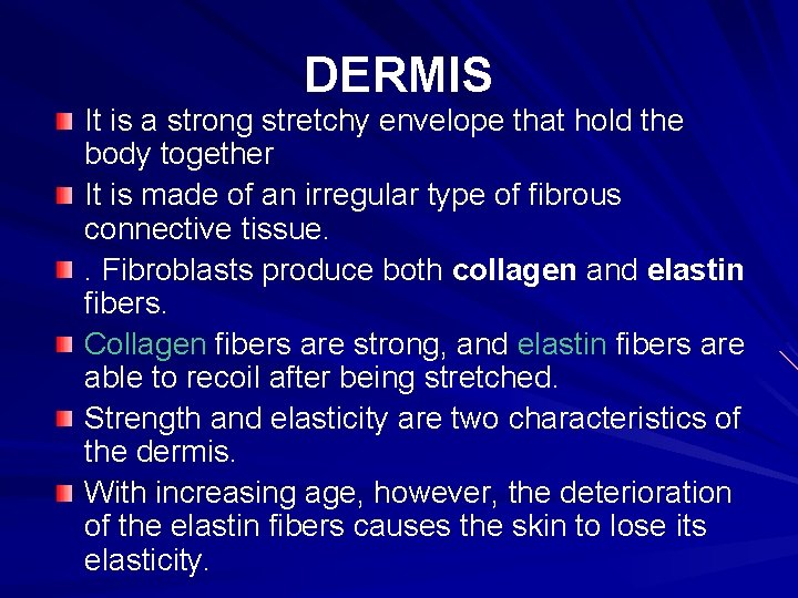 DERMIS It is a strong stretchy envelope that hold the body together It is