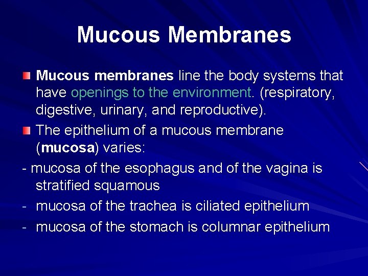 Mucous Membranes Mucous membranes line the body systems that have openings to the environment.