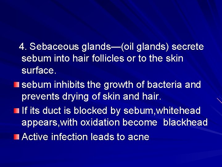 4. Sebaceous glands—(oil glands) secrete sebum into hair follicles or to the skin surface.