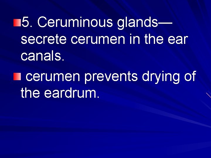 5. Ceruminous glands— secrete cerumen in the ear canals. cerumen prevents drying of the