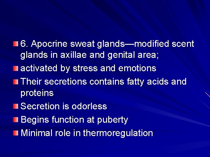 6. Apocrine sweat glands—modified scent glands in axillae and genital area; activated by stress