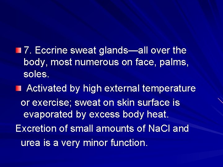 7. Eccrine sweat glands—all over the body, most numerous on face, palms, soles. Activated