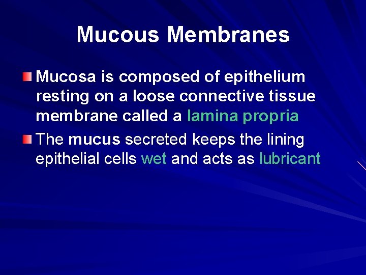 Mucous Membranes Mucosa is composed of epithelium resting on a loose connective tissue membrane