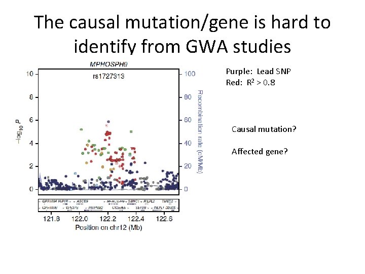 The causal mutation/gene is hard to identify from GWA studies Purple: Lead SNP Red: