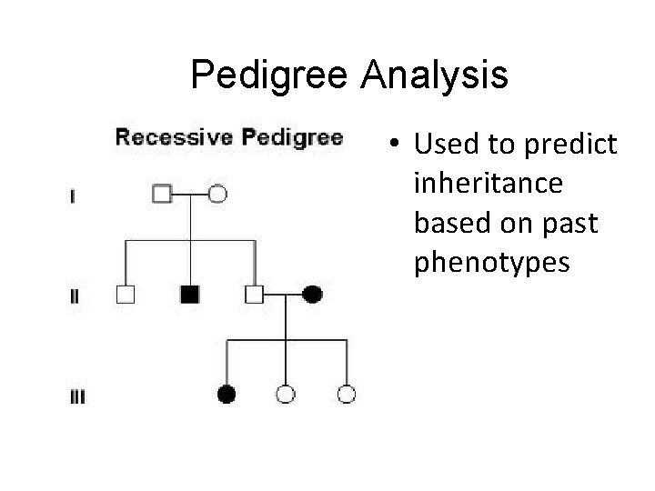 Pedigree Analysis • Used to predict inheritance based on past phenotypes 