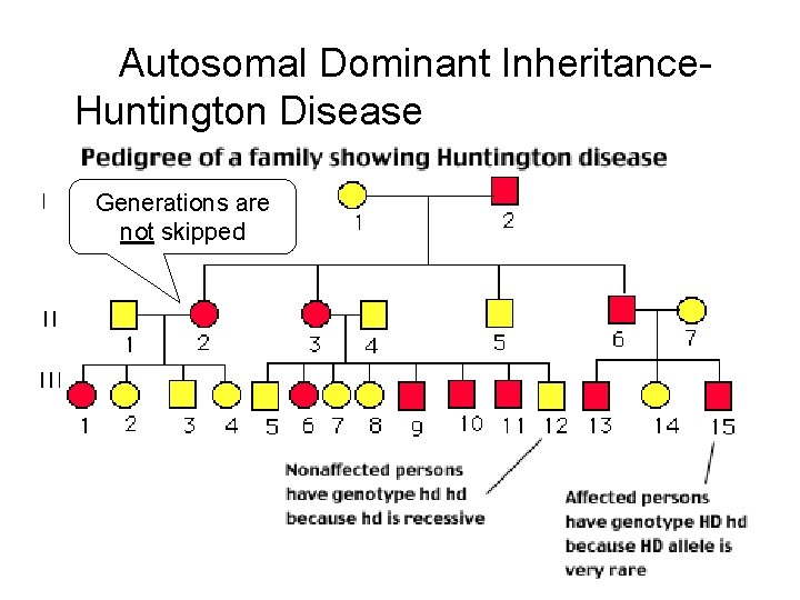 Autosomal Dominant Inheritance. Huntington Disease Generations are not skipped 