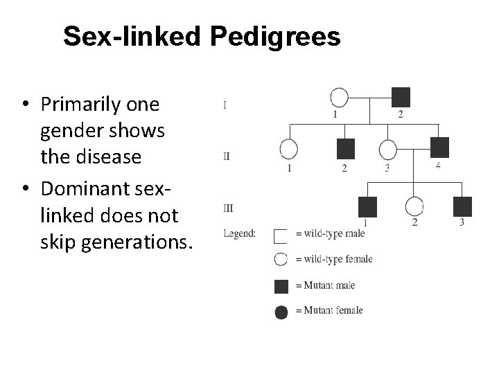 Sex-linked Pedigrees • Primarily one gender shows the disease • Dominant sexlinked does not