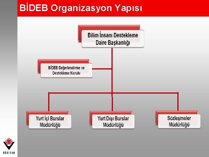 BİDEB Organizasyon Yapısı 