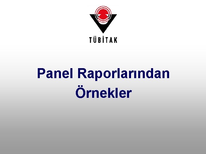 Panel Raporlarından Örnekler 