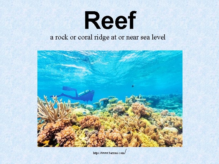 Reef a rock or coral ridge at or near sea level https: //www. barrons. Reef a rock or coral ridge at or near sea level https: //www. barrons.