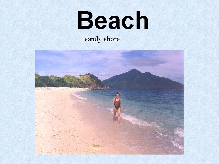 Beach sandy shore Beach sandy shore