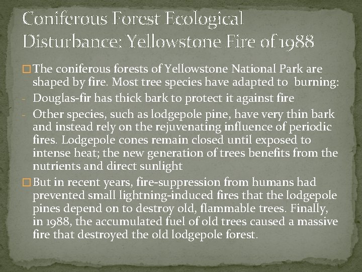 Coniferous Forest Ecological Disturbance: Yellowstone Fire of 1988 � The coniferous forests of Yellowstone