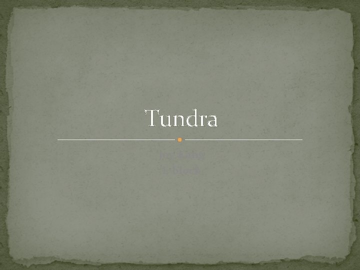 Tundra Joy Kang E block 