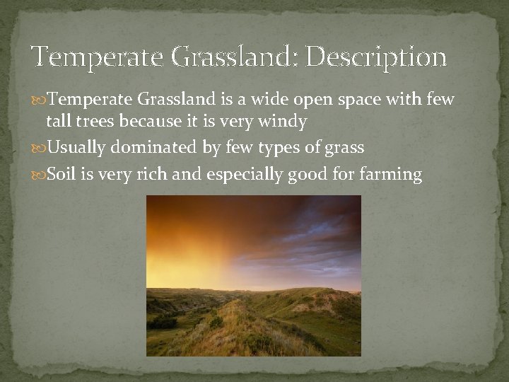 Temperate Grassland: Description Temperate Grassland is a wide open space with few tall trees