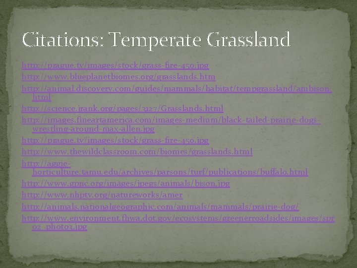 Citations: Temperate Grassland http: //prague. tv/images/stock/grass-fire-450. jpg http: //www. blueplanetbiomes. org/grasslands. htm http: //animal.