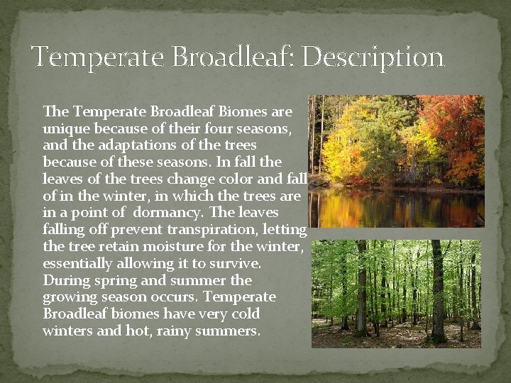 Temperate Broadleaf: Description The Temperate Broadleaf Biomes are unique because of their four seasons,