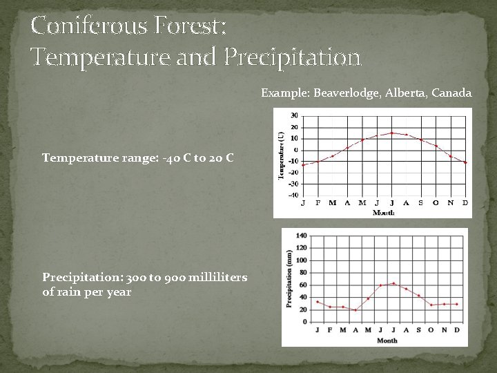Coniferous Forest: Temperature and Precipitation Example: Beaverlodge, Alberta, Canada Temperature range: -40 C to