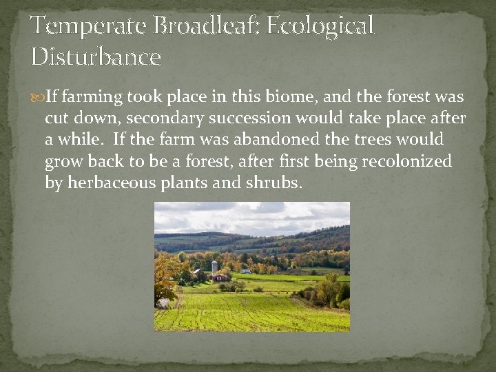 Temperate Broadleaf: Ecological Disturbance If farming took place in this biome, and the forest