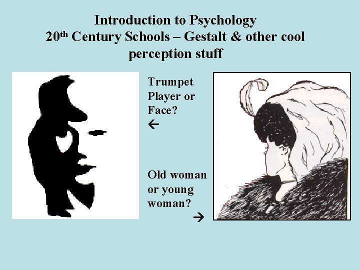 Introduction to Psychology 20 th Century Schools – Gestalt & other cool perception stuff