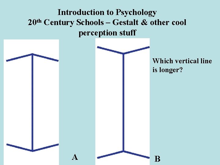 Introduction to Psychology 20 th Century Schools – Gestalt & other cool perception stuff