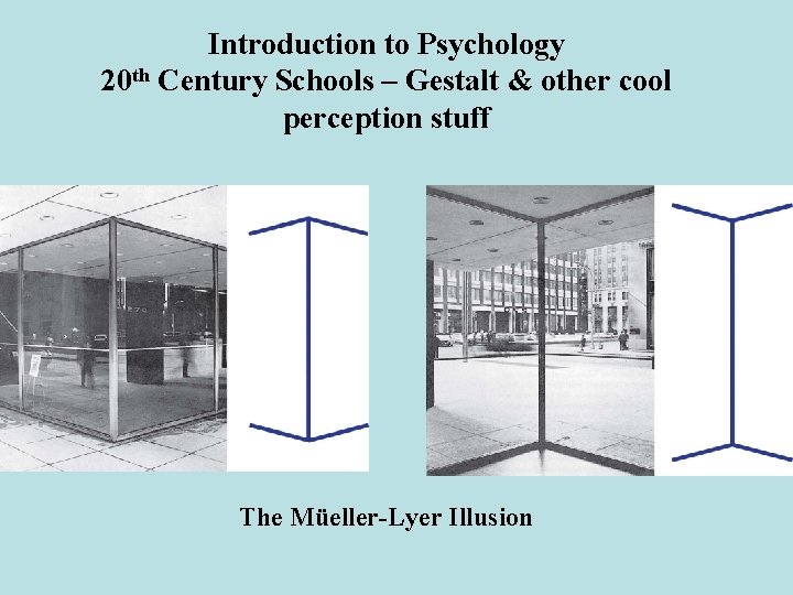 Introduction to Psychology 20 th Century Schools – Gestalt & other cool perception stuff