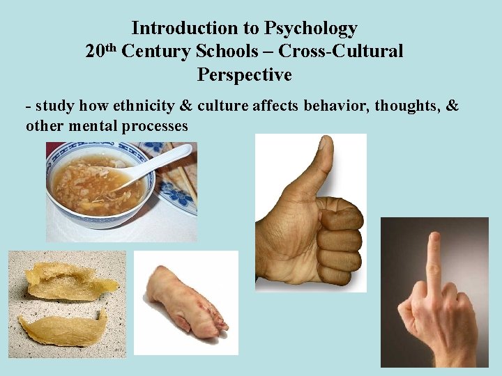 Introduction to Psychology 20 th Century Schools – Cross-Cultural Perspective - study how ethnicity