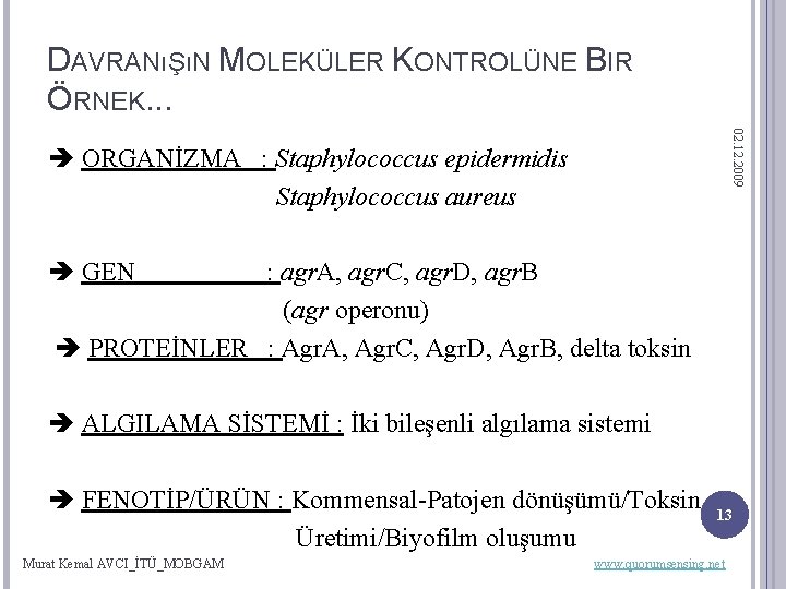 DAVRANıŞıN MOLEKÜLER KONTROLÜNE BIR ÖRNEK. . . 02. 12. 2009 ORGANİZMA : Staphylococcus epidermidis