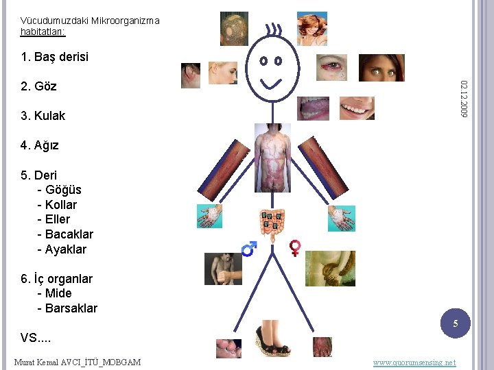 Vücudumuzdaki Mikroorganizma habitatları: 1. Baş derisi 02. 12. 2009 2. Göz 3. Kulak 4.