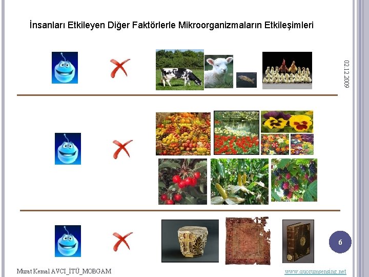 İnsanları Etkileyen Diğer Faktörlerle Mikroorganizmaların Etkileşimleri 02. 12. 2009 6 Murat Kemal AVCI_İTÜ_MOBGAM www.