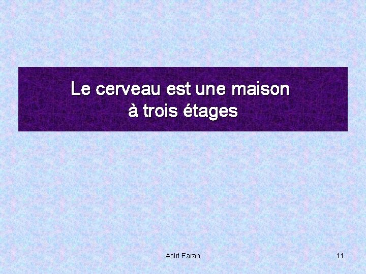 Le cerveau est une maison à trois étages Asiri Farah 11 