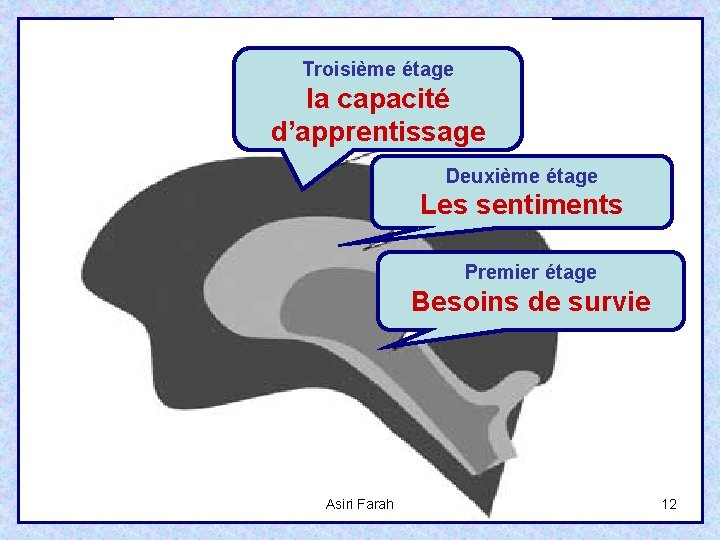 Troisième étage la capacité d’apprentissage Deuxième étage Les sentiments Premier étage Besoins de survie