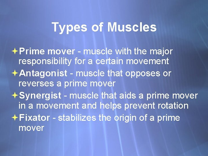 Types of Muscles Prime mover - muscle with the major responsibility for a certain