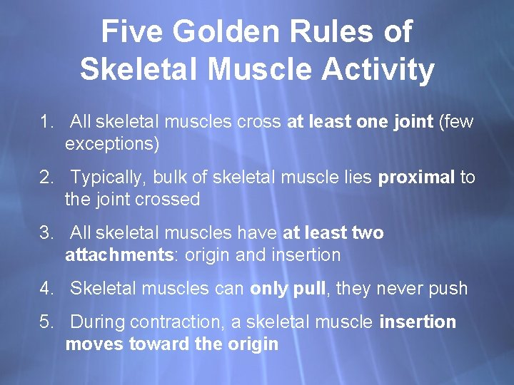 Body Movements Five Golden Rules of Skeletal Muscle