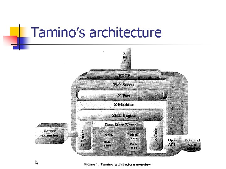 Tamino’s architecture 