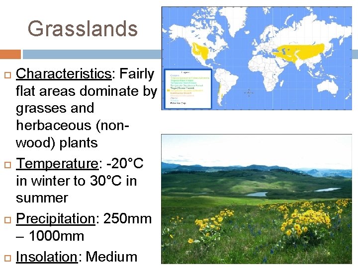 Grasslands Characteristics: Fairly flat areas dominate by grasses and herbaceous (nonwood) plants Temperature: -20°C Grasslands Characteristics: Fairly flat areas dominate by grasses and herbaceous (nonwood) plants Temperature: -20°C