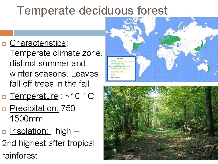 Temperate deciduous forest Characteristics: Temperate climate zone, distinct summer and winter seasons. Leaves fall Temperate deciduous forest Characteristics: Temperate climate zone, distinct summer and winter seasons. Leaves fall